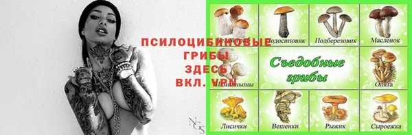 эйфоретик Карталы
