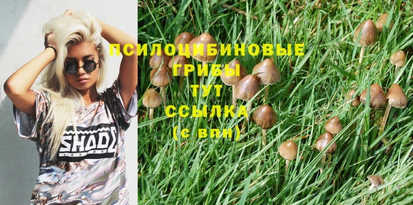эйфоретик Карталы