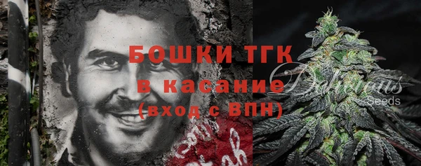 тгк Касимов