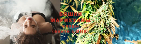 тгк Касимов