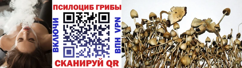 Псилоцибиновые грибы Magic Shrooms  Купить где  Долгопрудный 